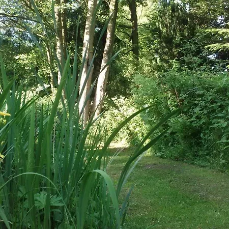 Ahlers Apartment Schneverdingen